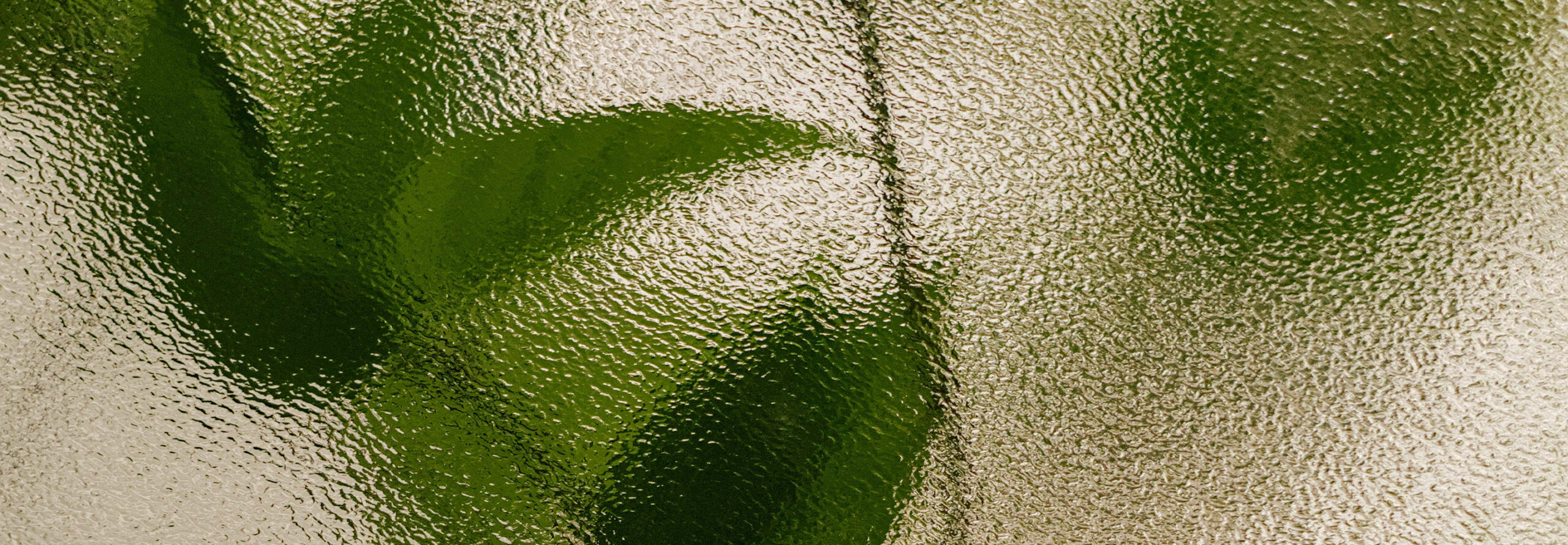 leafes
